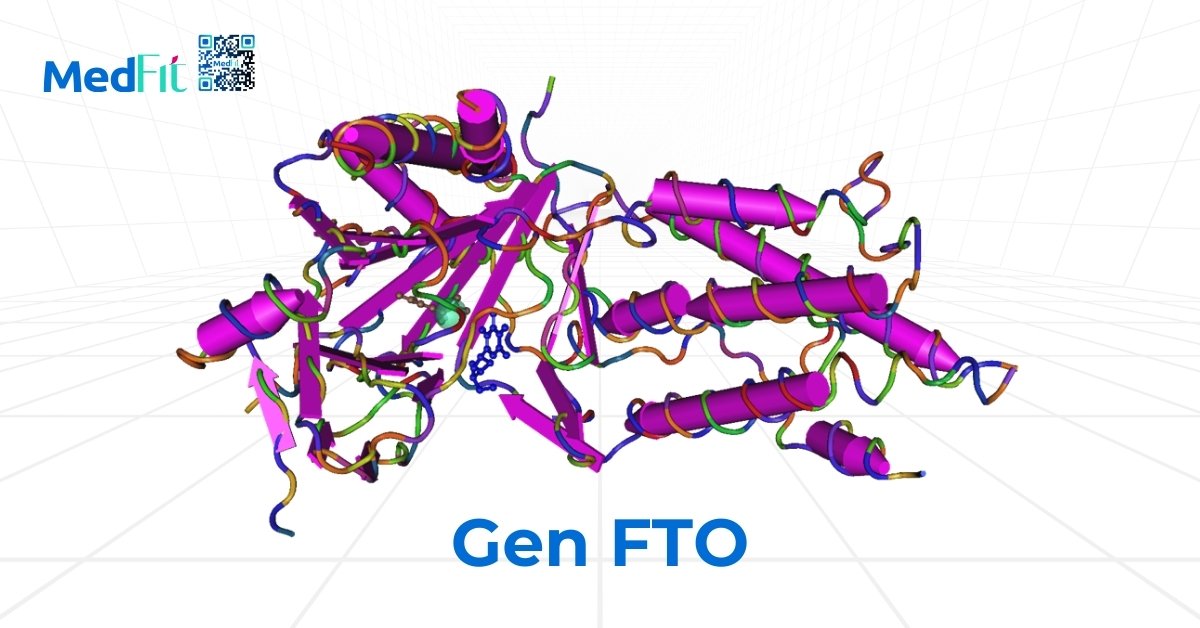 gen fto có thể làm tăng nguy cơ béo phì
