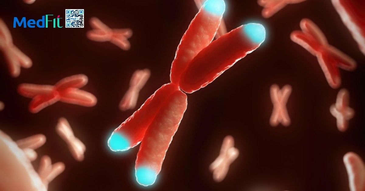 hình minh họa telomere
