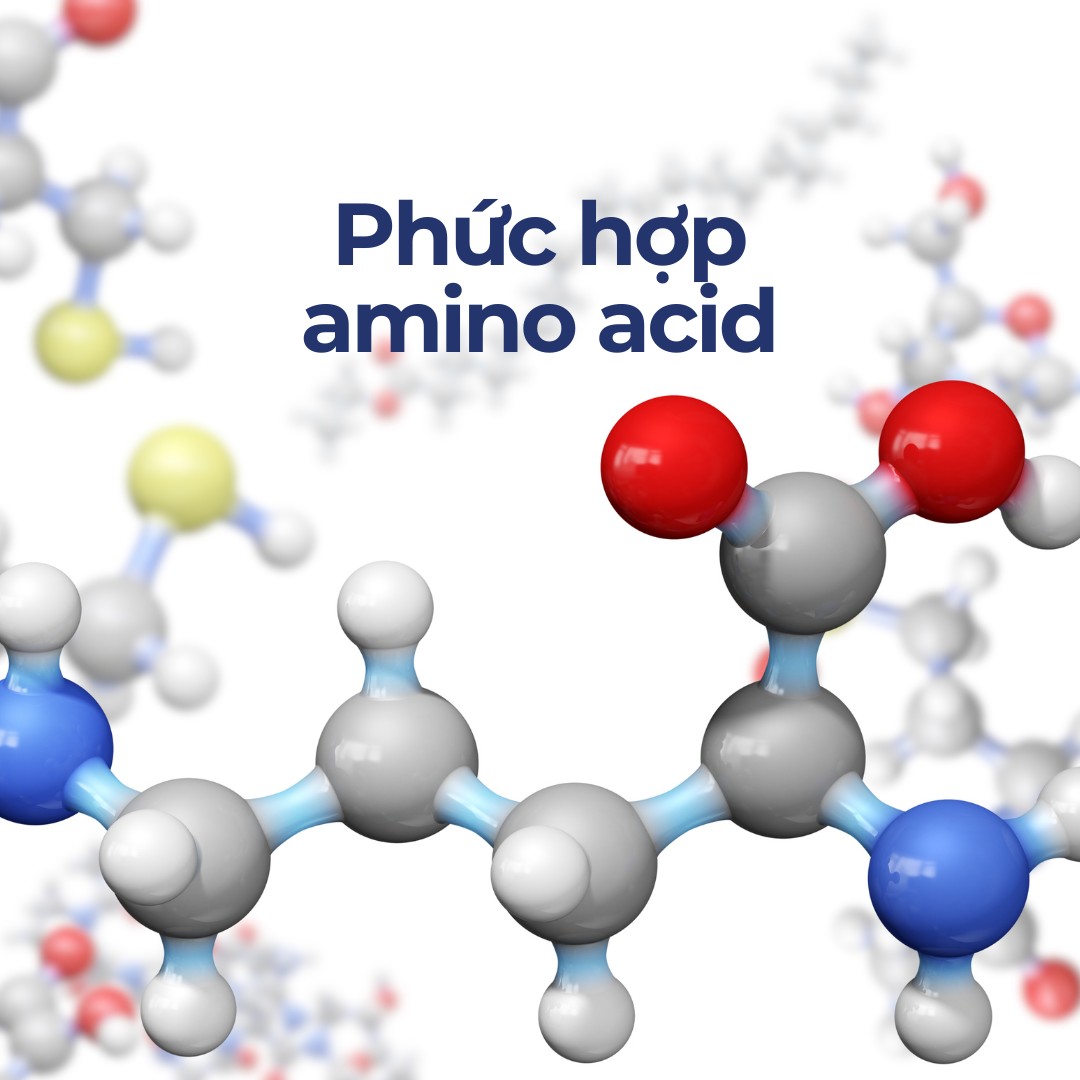 Phức hợp amino acid