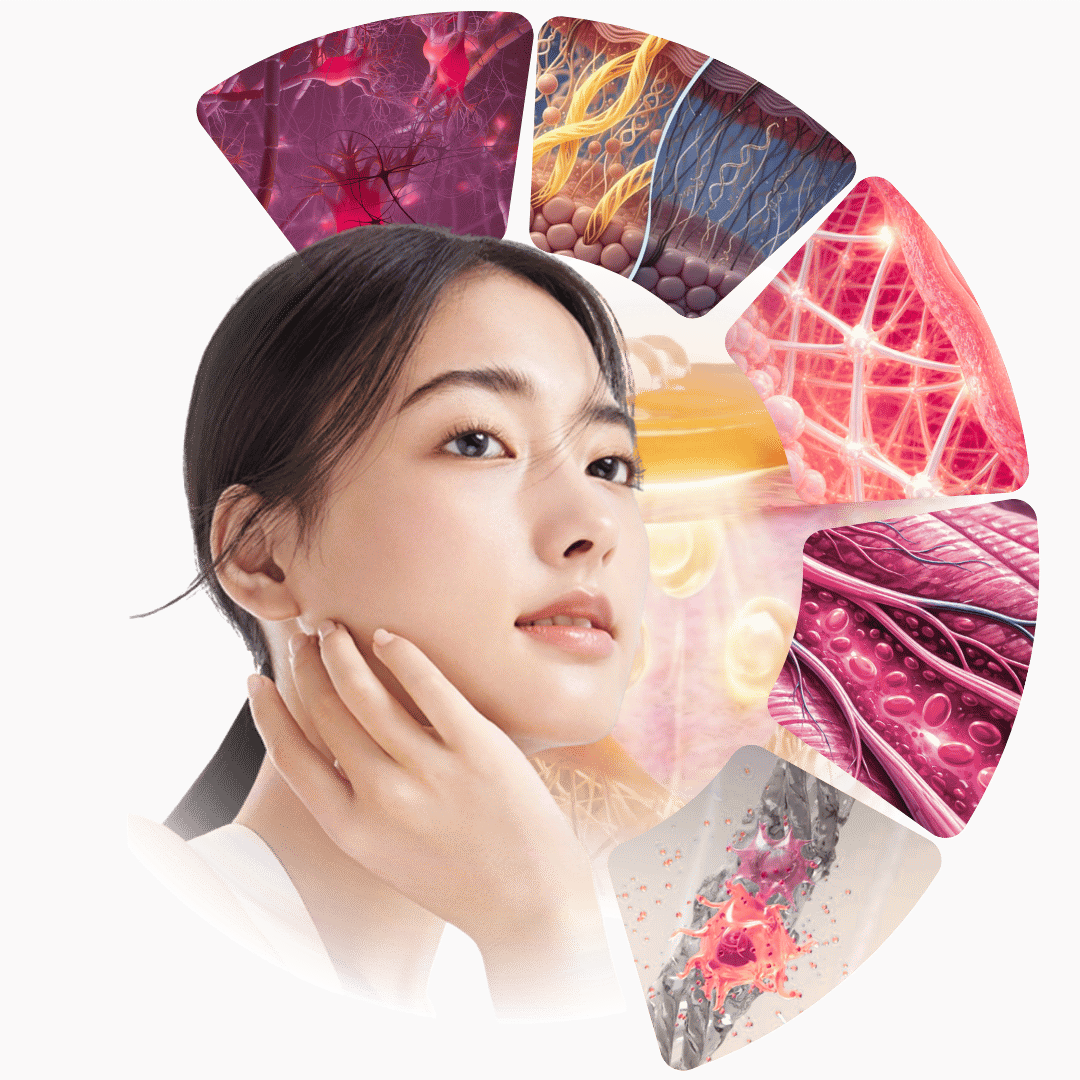 Cơ chế tác động của Vitaran